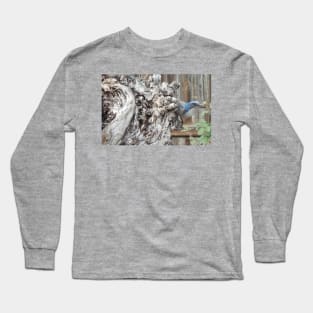 Scrub Jay on Sycamore Tree Long Sleeve T-Shirt